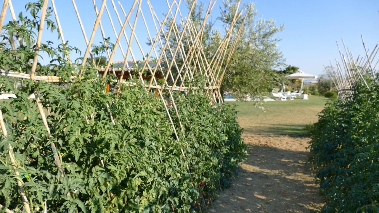 Mosciano SantʼAngelo Residence Colle Veroni מראה חיצוני תמונה
